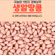 ★이웃사촌★ [어느새 여름특가]서리골 햇생알땅콩1kg