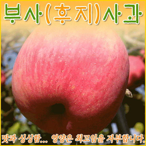 [이안농장] 맛 좋은 부사사과