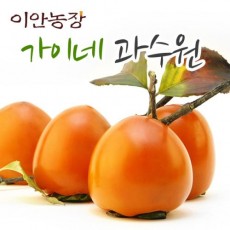 이안농장 가이네 상주 홍시감(대봉) 10kg 무료배송